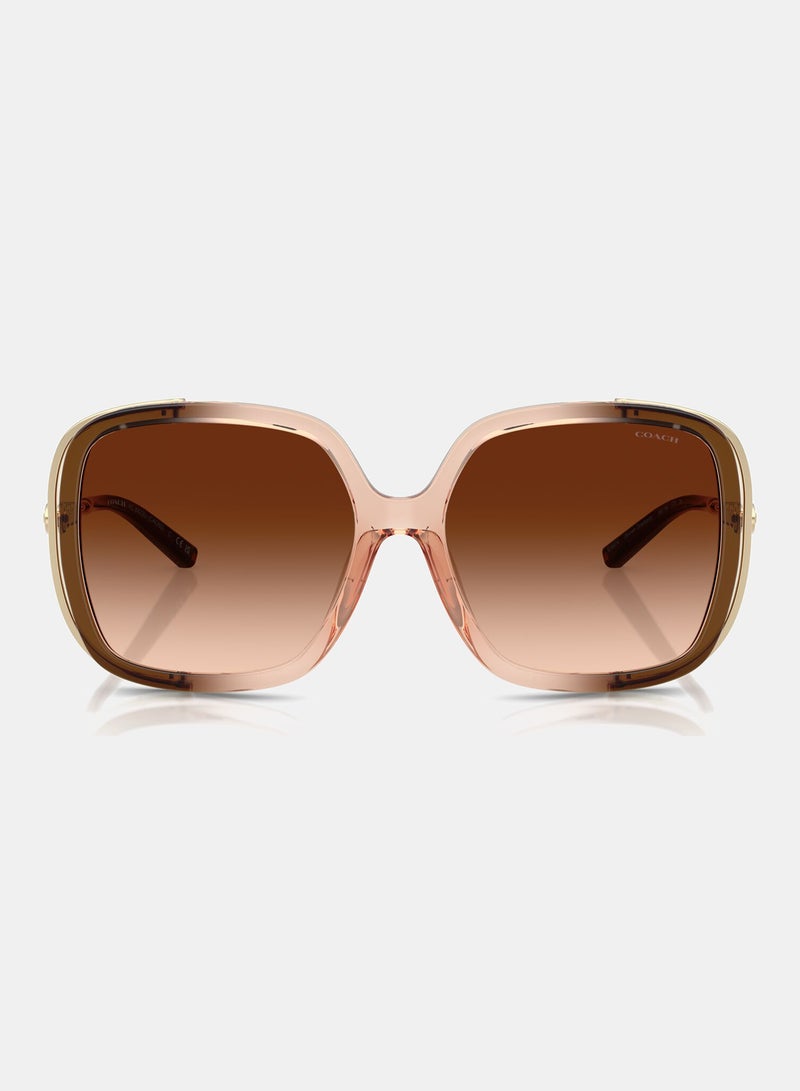 كوتش نظارة شمسية بإطار كامل مربع 8423U, 56, 5769, 74 - Image 5